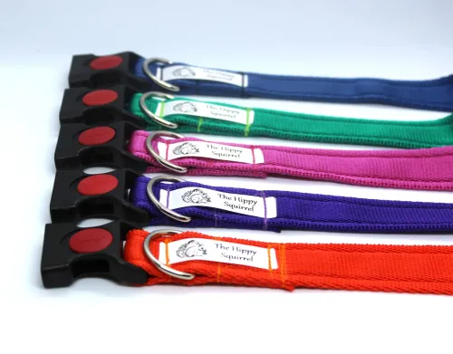 Cushion Webbing  Adjustable Collar