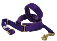 Headcollar With Brass fittings