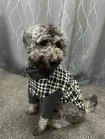 Dog Tooth Fleece Jumper